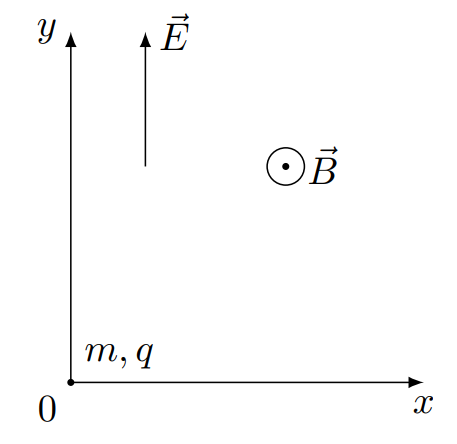 g11_p5_condition