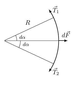 g11_p2_solution_1